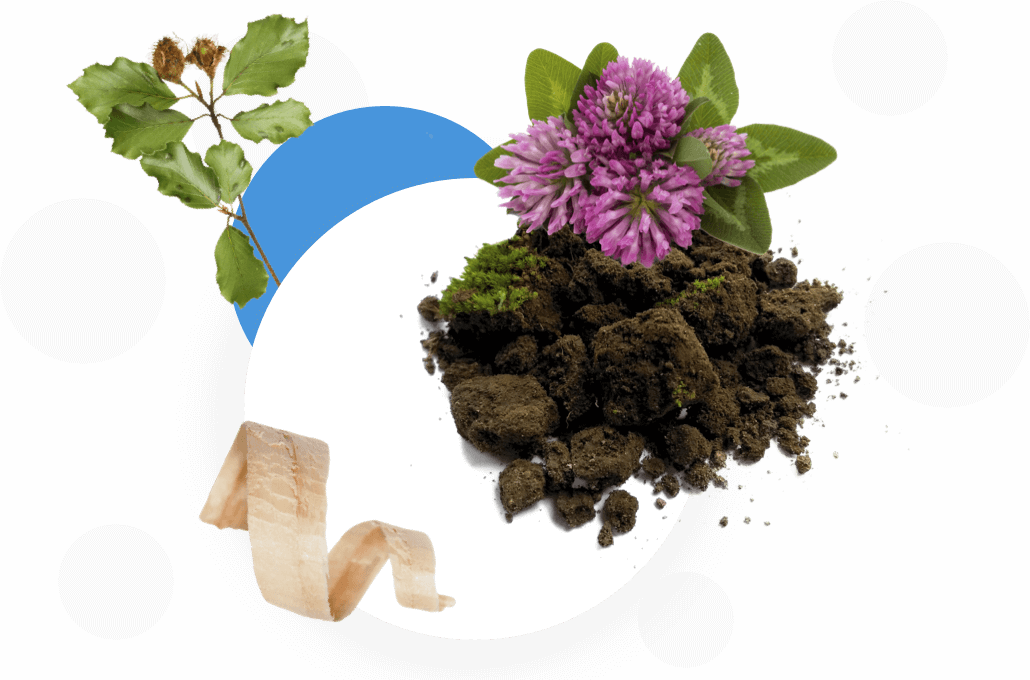 Upravljanje zemljišč in gozdov